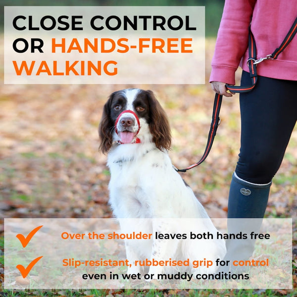 Spaniel on double-ended dog training lead worn over handler’s shoulder for hands-free walking with slip-resistant grip visible.