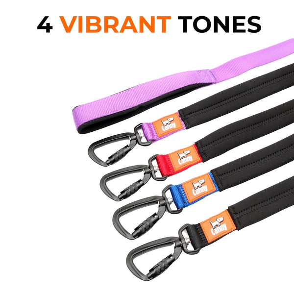 Canny Lead shown in 4 colour options—purple, red, blue, and black—all with black locking carabiner and orange Canny logo.