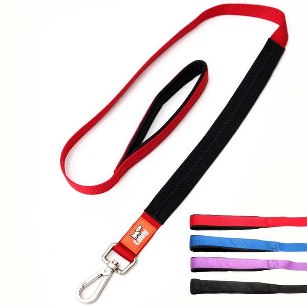 Red 25mm wide Canny no pull lead for medium to large dogs, padded grip and secure steel clip, shown with colour options: red, blue, purple, black.