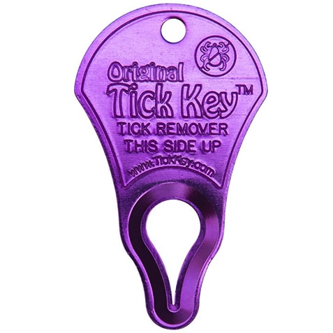 Tick Key - purple