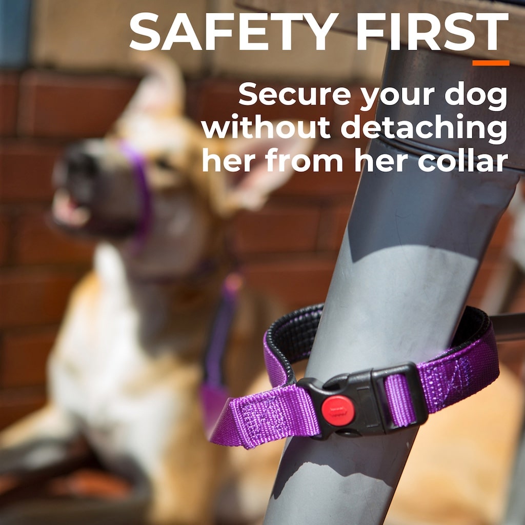 Canny CONNECT Lead | Lockable Buckle Prevents Escape
