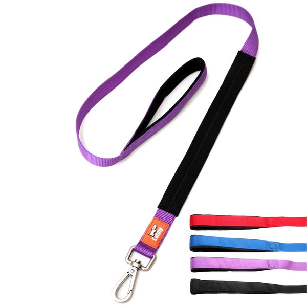 Purple 25mm wide Canny no pull lead for medium to large dogs, padded black grip and secure steel clip, shown with colour options: red, blue, purple, black.