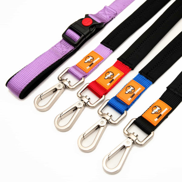 Range of Canny Leads in 4 colours. Features the Canny Lead CONNECT with lockable buckle