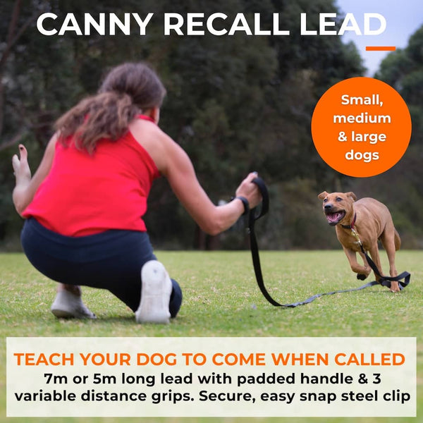 Canny Recall Lead