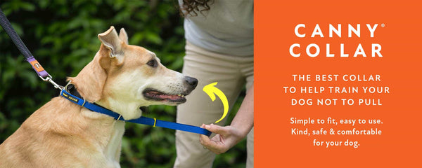 Canny Collar Dog Head Collar Head Collars For Dogs