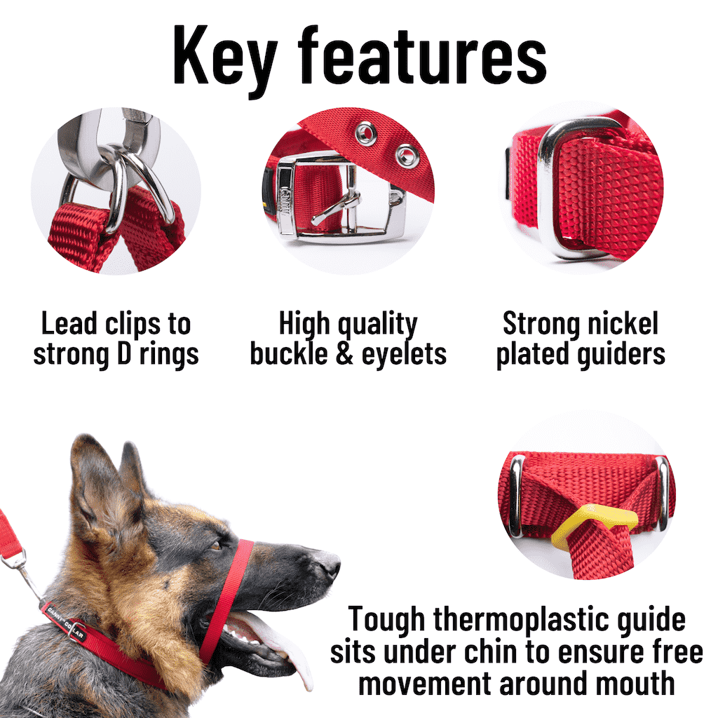 Canny collar australia clearance