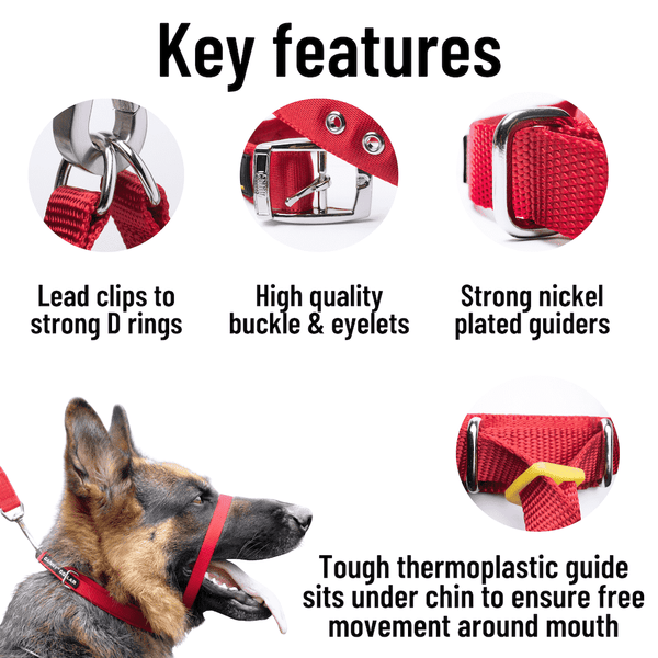 Canny collar australia clearance