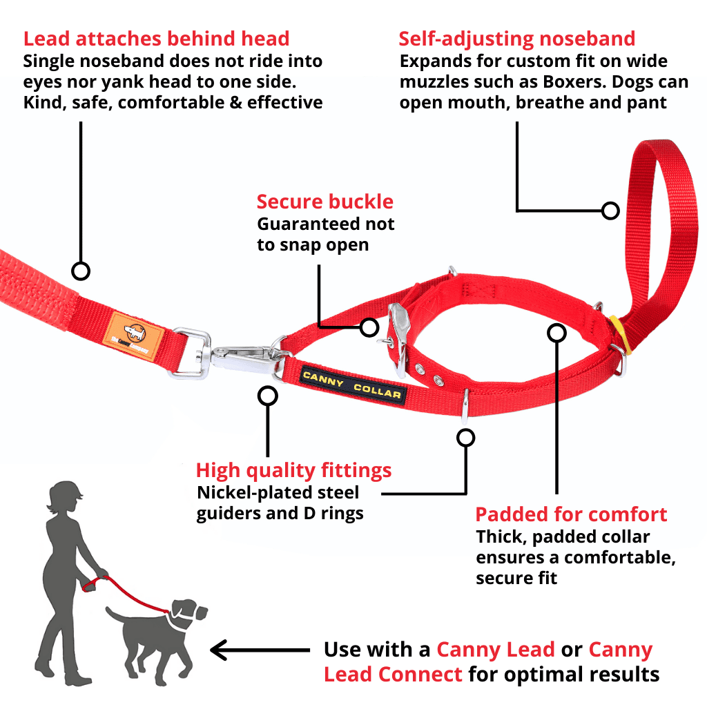Head lead deals for dogs