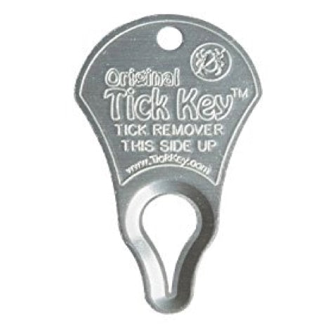 Tick Key - pewter